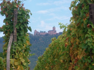 chateau du Haut-Koenigsbourg